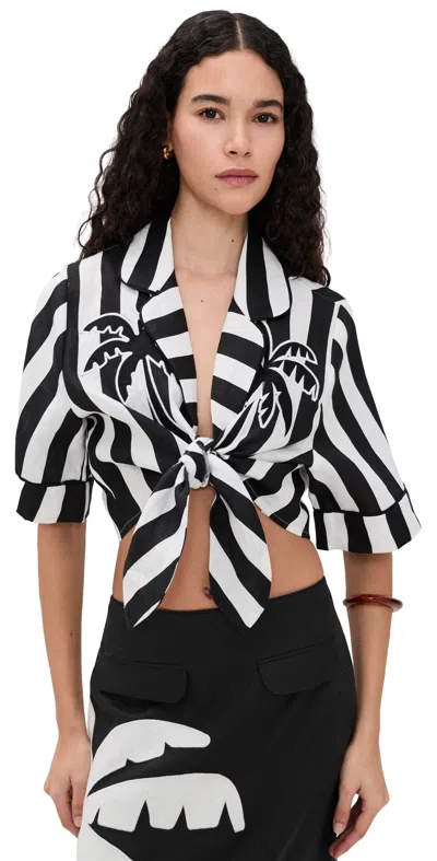 Farm Rio Spring Stripe Short Sleeve Crop Top Spring Stripes Black In Multi