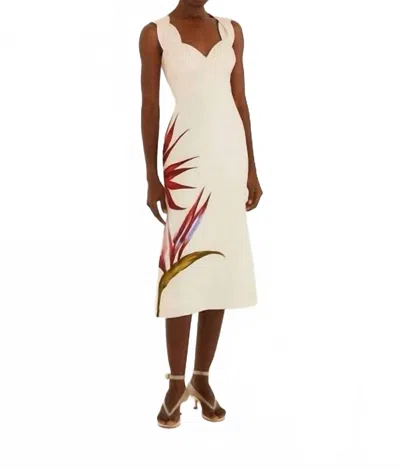 Farm Rio Sand-colored Linen Midi Dress With Strelitzia Pattern In Brown