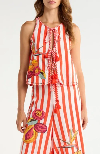 Farm Rio Stripe Fruit Embroidered Tie Front Cover-up Top In Multi