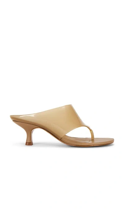 Farm Rio Thong Jelly Kitten Heel In Brown