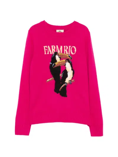 Farm Rio Toucan-applique Sweater In Pink