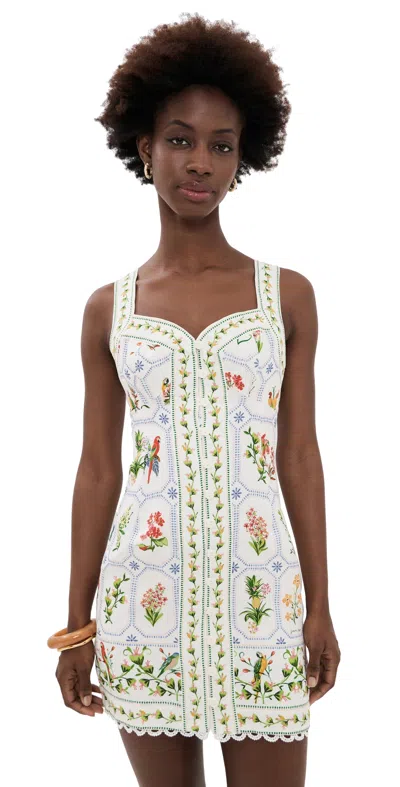 Farm Rio Tropical Porcelain Printed Linen Mini Dress In White