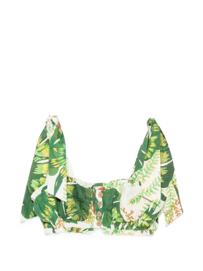 Farm Rio Tropical-print Crop Top In Green