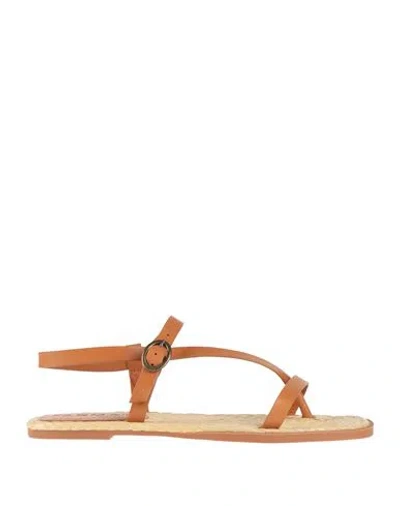 Farm Rio Woman Thong Sandal Tan Size 8 Leather In Brown
