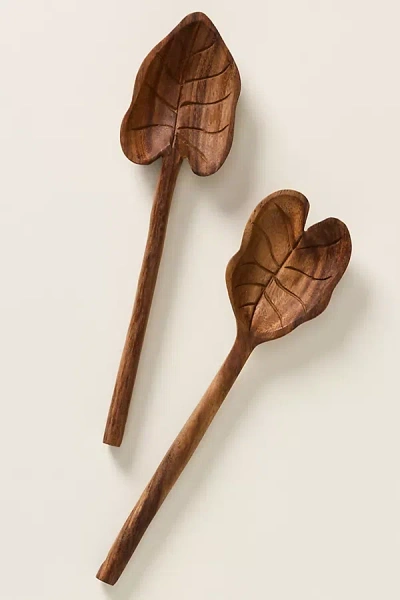 Farm Rio Wood  Serving Set In Brown