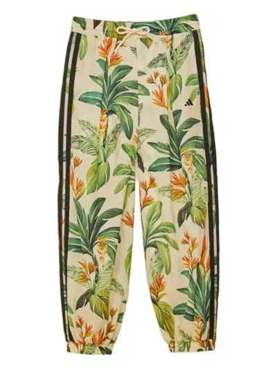 Farm Rio X Adidas Tropical Breeze-print Trousers In Green