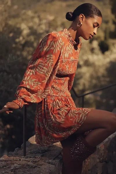 Farm Rio X Anthropologie Long-sleeve Printed Mini Dress In Brown