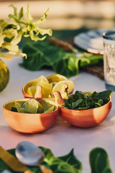 Farm Rio X Anthropologie Stoneware Tri-bowl In Multi