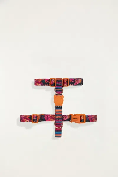 Farm Rio Zeedog Farm Onca H Harness - Size M In Multi