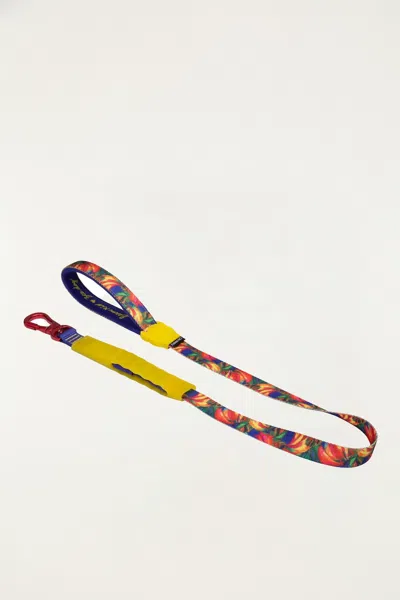 Farm Rio Zeedog Farm Samba Air Leash In Multi