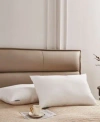 Farm To Home 100 Cotton 2 Pack Down Alternative Pillows Collection In White