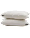 Farm To Home Set Of 2 Organic Cotton Pillows In White