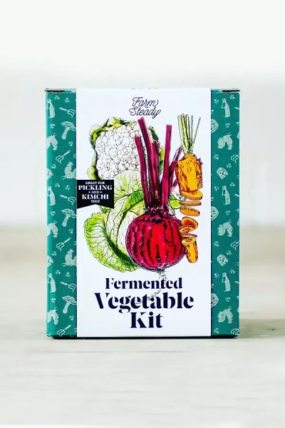 Farmsteady Fermented Vegetable Kit In White