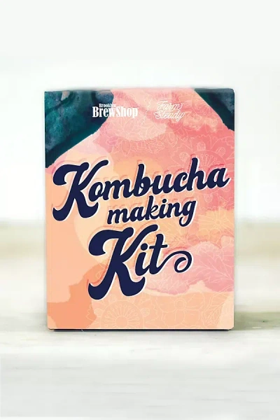 Farmsteady Kombucha Making Kit In Orange