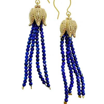 Farra Women's Blue Lapis Tassel Earrings