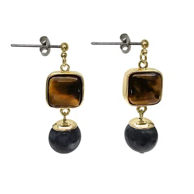 Farra Women's Brown / Black Tiger-eye Stone With Black Obsidian Minimalist Earrings