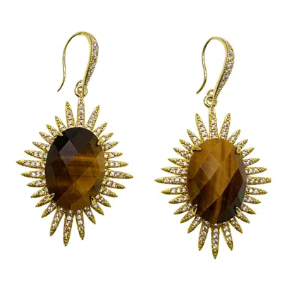 Farra Women's Brown Tiger Eye Stone Setting Dangle Earrings