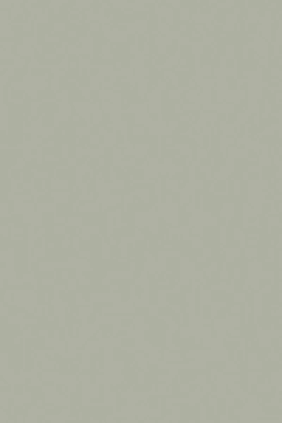 Farrow & Ball Blue Gray No.91 - 100ml Sample Pot In Green