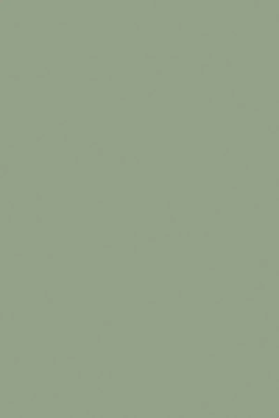 Farrow & Ball Breakfast Room Green No.81 - 1 Gallon