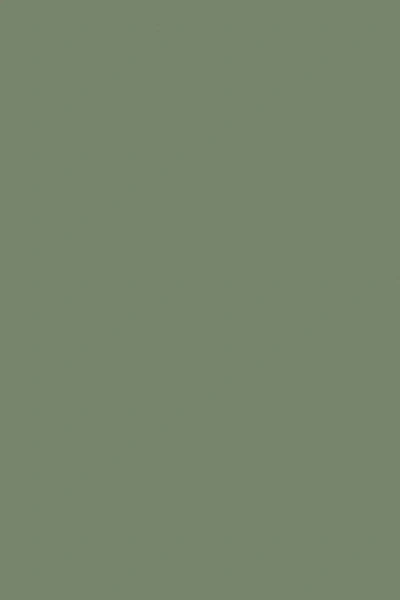 Farrow & Ball Calke Green No.34 - 1 Gallon