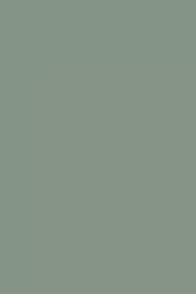 Farrow & Ball Card Room Green No.79 - 100ml Sample Pot In Blue