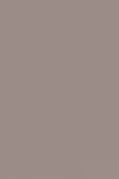 Farrow & Ball Charleston Gray No.243 - 1 Gallon