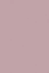 Farrow & Ball Cinder Rose No.246 - 100ml Sample Pot