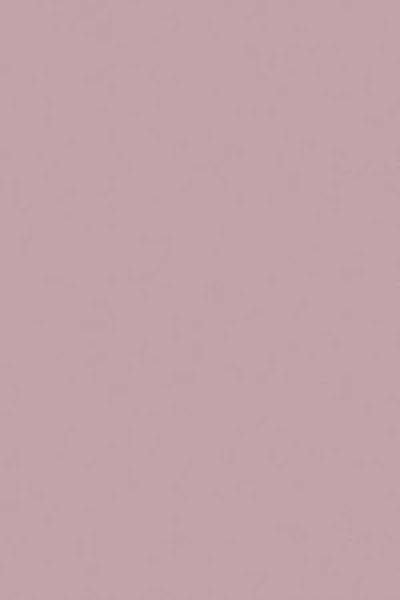 Farrow & Ball Cinder Rose No.246 - 100ml Sample Pot In Pink