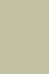 Farrow & Ball Cooking Apple Green No.32 - 100ml Sample Pot