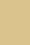 Farrow & Ball Cord No.16 - 100ml Sample Pot