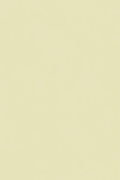 Farrow & Ball Green Ground No.206 - 1 Gallon