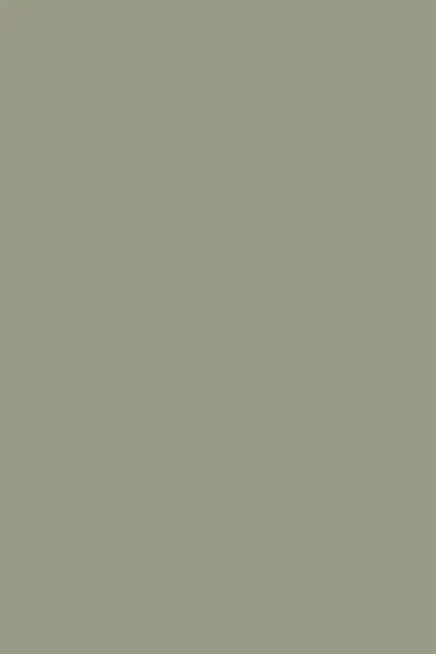 Farrow & Ball Lichen No.19 - 750ml In Green