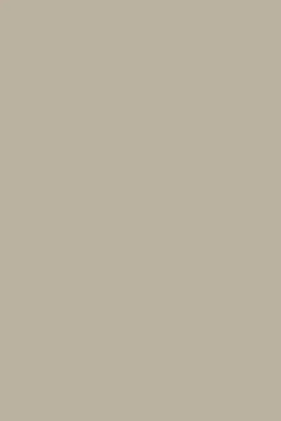 Farrow & Ball Light Gray No.17 - 1 Gallon