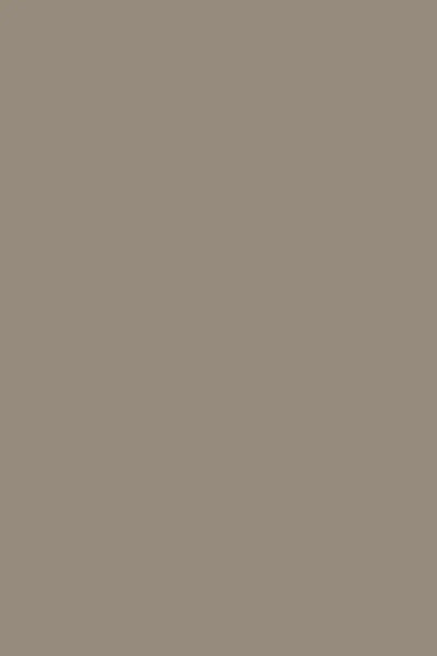 Farrow & Ball Mouse's Back No.40 - 1 Gallon In Gray