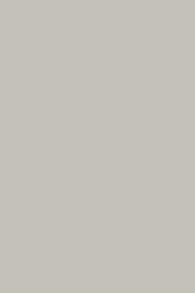 Farrow & Ball Pavilion Gray No.242 - 1 Gallon In Neutral