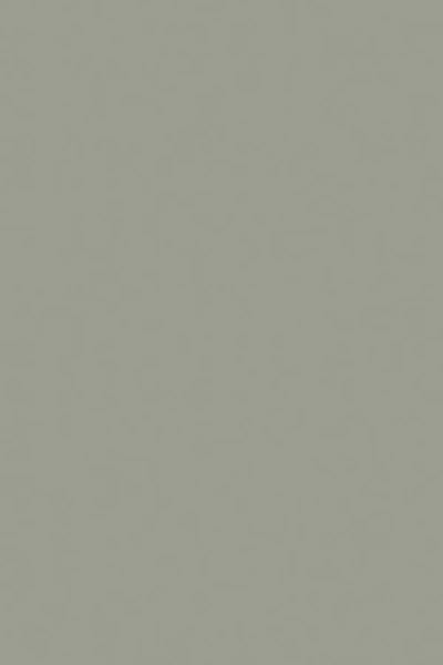 Farrow & Ball Pigeon No.25 - 750ml In Gray