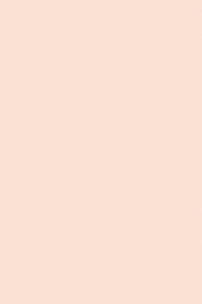 Farrow & Ball Pink Ground No.202 - 1 Gallon