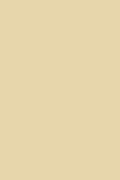 Farrow & Ball String No.8 - 1 Gallon In Neutral