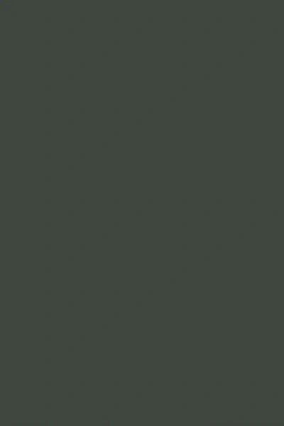 Farrow & Ball Studio Green No.93 - 1 Gallon