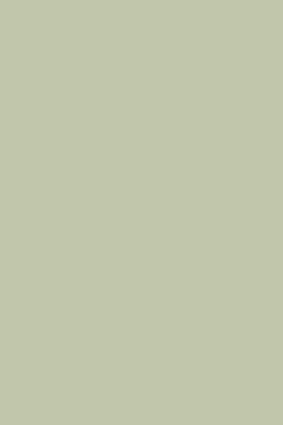 Farrow & Ball Vert De Terre No.234 - 1 Gallon In Green