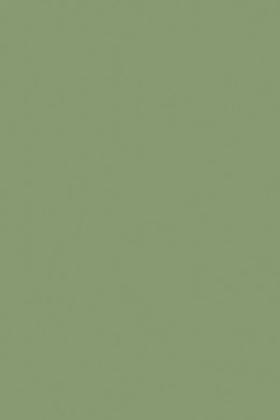 Farrow & Ball Yeabridge Green No.287 - 1 Gallon