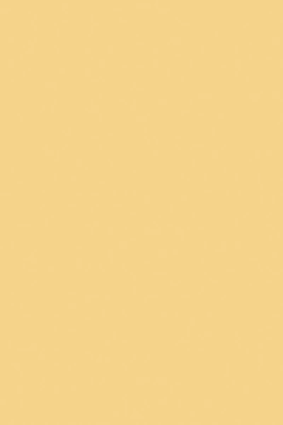 Farrow & Ball Yellow Ground No.218 - 1 Gallon