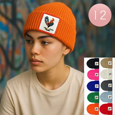 Fashnzfab 12pcs - Cock Patch Winter Beanie Hats In Multi