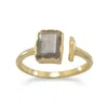 Fashnzfab 14 Karat Gold Plated Rectangular Labradorite Ring In Silver