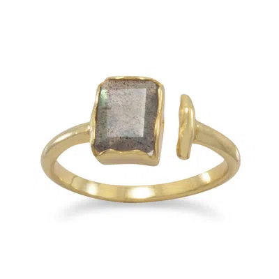 Fashnzfab 14 Karat Gold Plated Rectangular Labradorite Ring In Silver