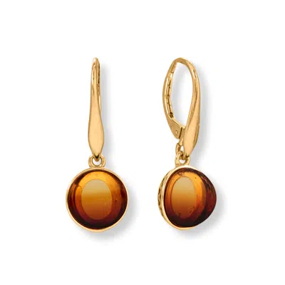 Fashnzfab 14 Karat Gold Plated Round Sunrise Amber Lever Earrings In Neutral