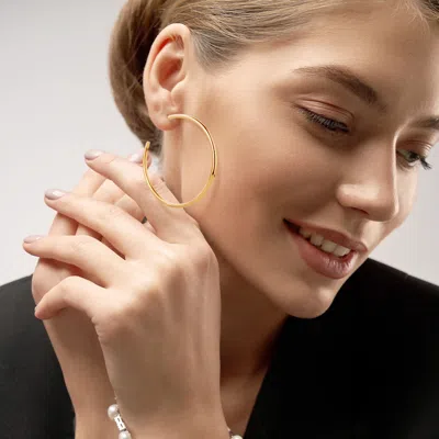 Fashnzfab 14k Gold Dipped Classic Hoop Earrings - Gold