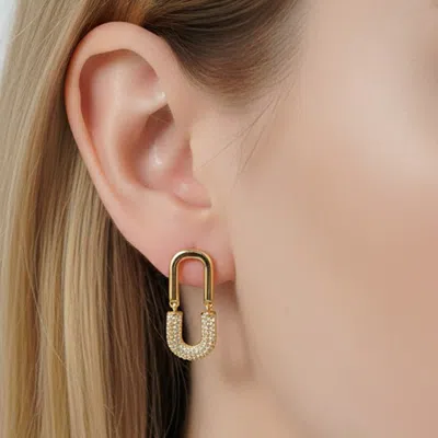 Fashnzfab 14k Gold Dipped Hypoallergenic Cz Pave Oval Link Earrings