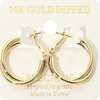 Fashnzfab 14k Gold Dipped Hypoallergenic Double Hoop Earrings