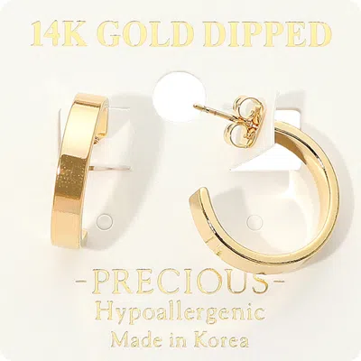 Fashnzfab 14k Gold Dipped Hypoallergenic Half Open Hoop Earrings